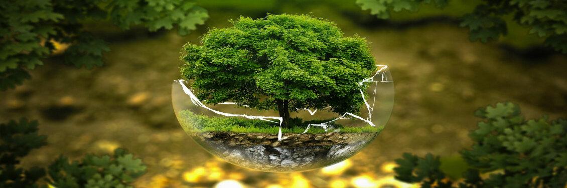 Ecozone Concepts banner