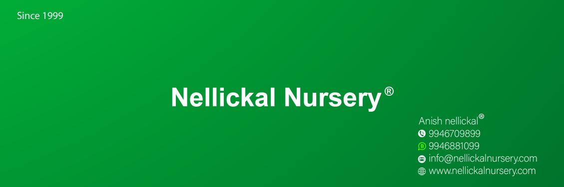 Nellickal Nursery banner