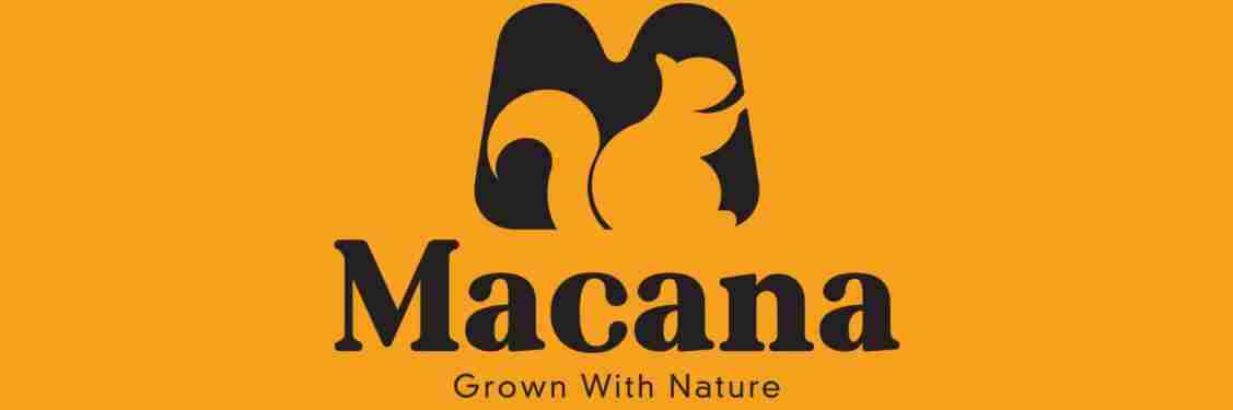 Macana Dry Fruits banner