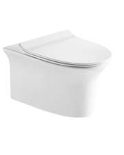 JOHNSON BURGOS WALL HUNG