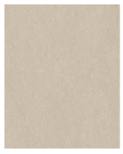 QUTONE PIETRLLI BEIGE1200 X 600mm