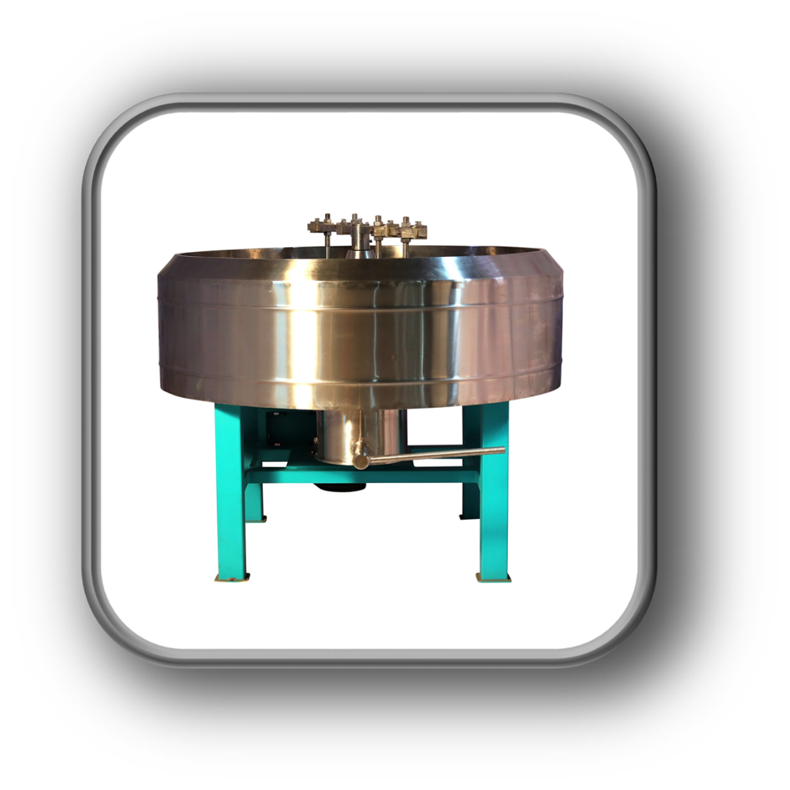 Electric Roaster