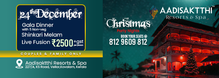 Christmas Party Nights banner