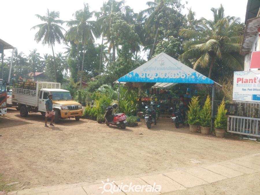 Plants world nursery & garden service in mannuthy, thrissur