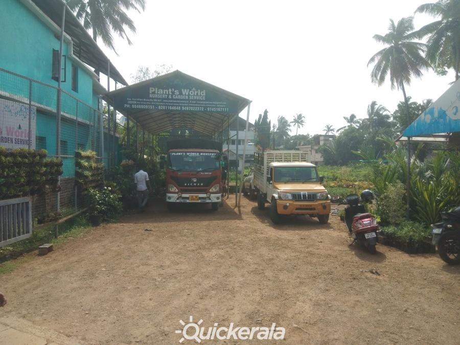Plants world nursery & garden service in mannuthy, thrissur