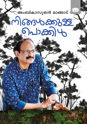 Ningalkkulla Pokkil : Image 2