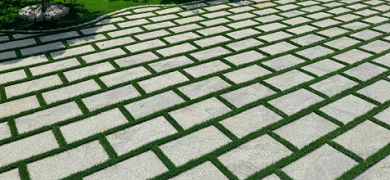 മുറ്റത്തിനൊരു മാറ്റം ആഗ്രഹിക്കുന്നുവോ